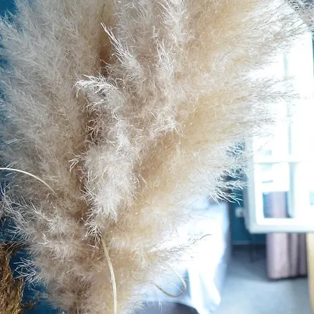 Moow Waterfront View Bělehrad